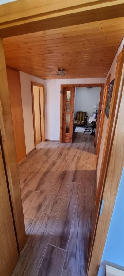Le Panorama - Appartement 54 A Arolla Face Aux Montagnes A 150M Des Pistes Evolène Eksteriør bilde