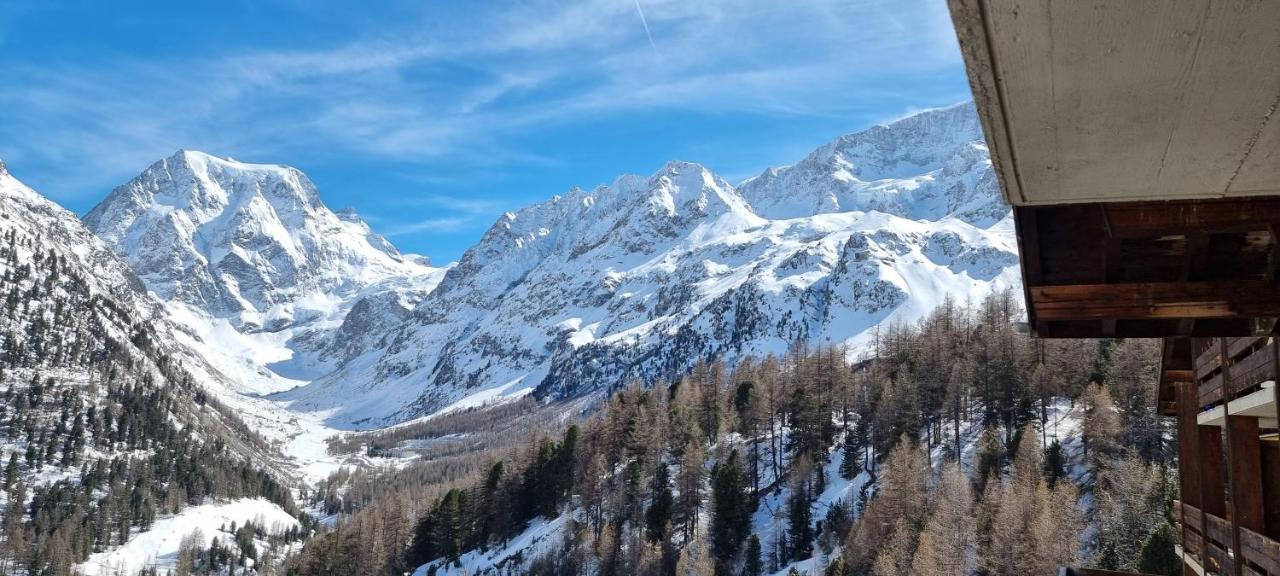 Le Panorama - Appartement 54 A Arolla Face Aux Montagnes A 150M Des Pistes Evolène Eksteriør bilde