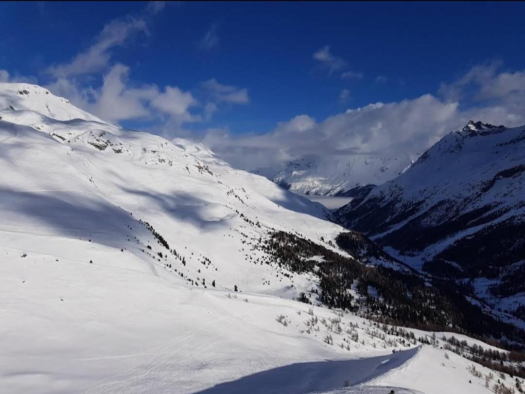 Le Panorama - Appartement 54 A Arolla Face Aux Montagnes A 150M Des Pistes Evolène Eksteriør bilde