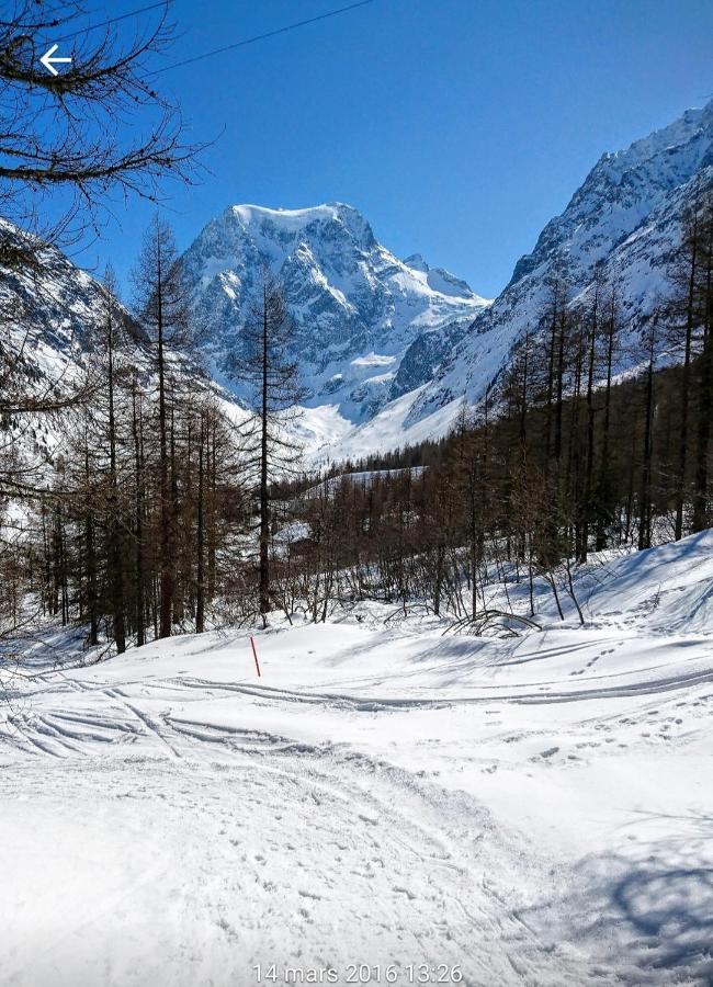 Le Panorama - Appartement 54 A Arolla Face Aux Montagnes A 150M Des Pistes Evolène Eksteriør bilde