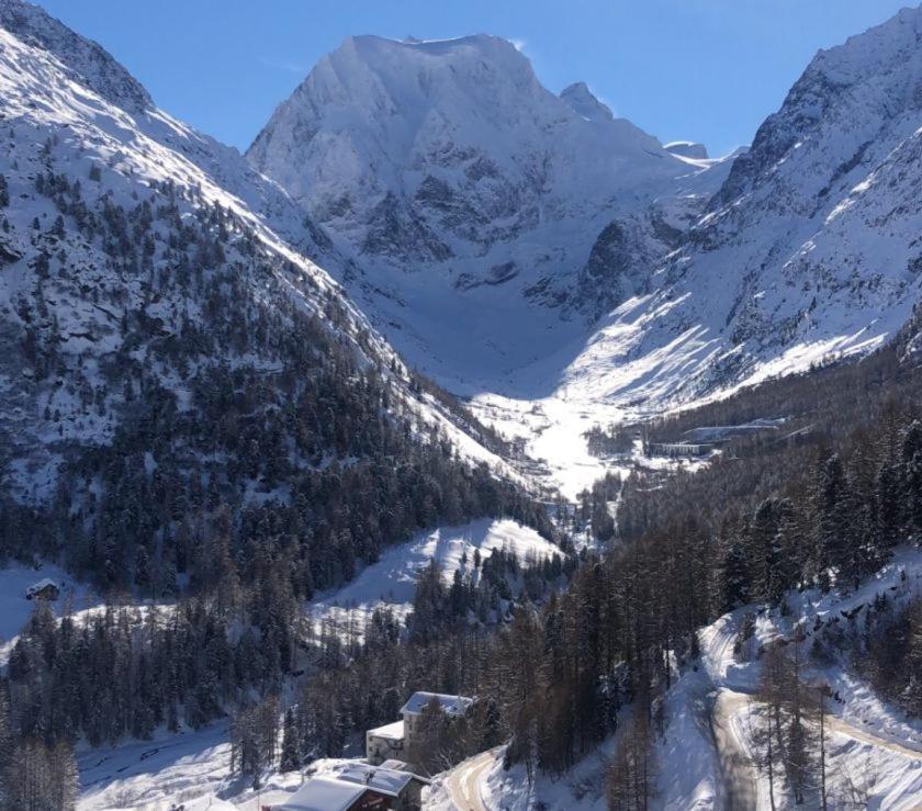 Le Panorama - Appartement 54 A Arolla Face Aux Montagnes A 150M Des Pistes Evolène Eksteriør bilde