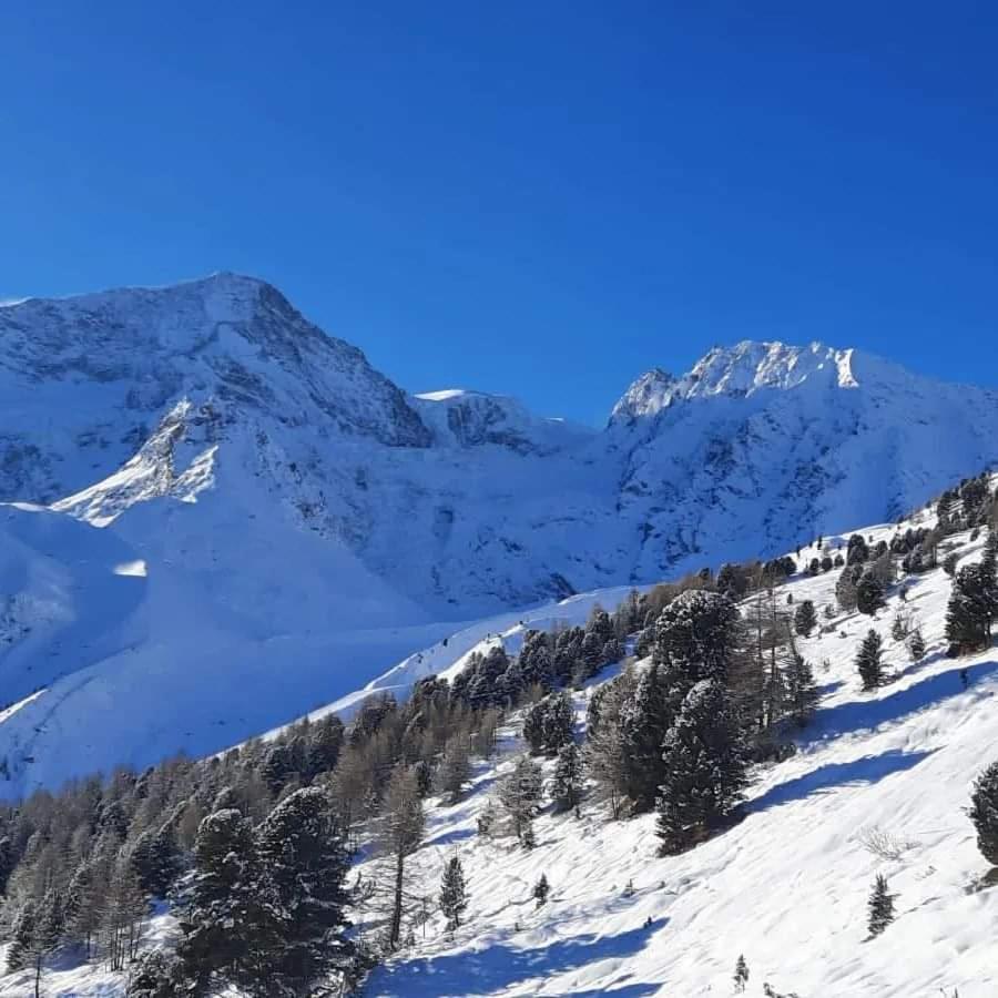 Le Panorama - Appartement 54 A Arolla Face Aux Montagnes A 150M Des Pistes Evolène Eksteriør bilde