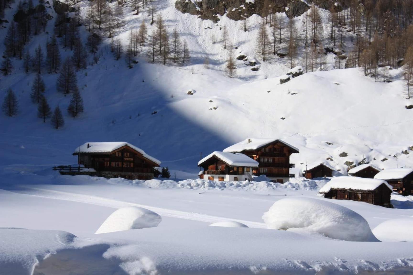 Le Panorama - Appartement 54 A Arolla Face Aux Montagnes A 150M Des Pistes Evolène Eksteriør bilde