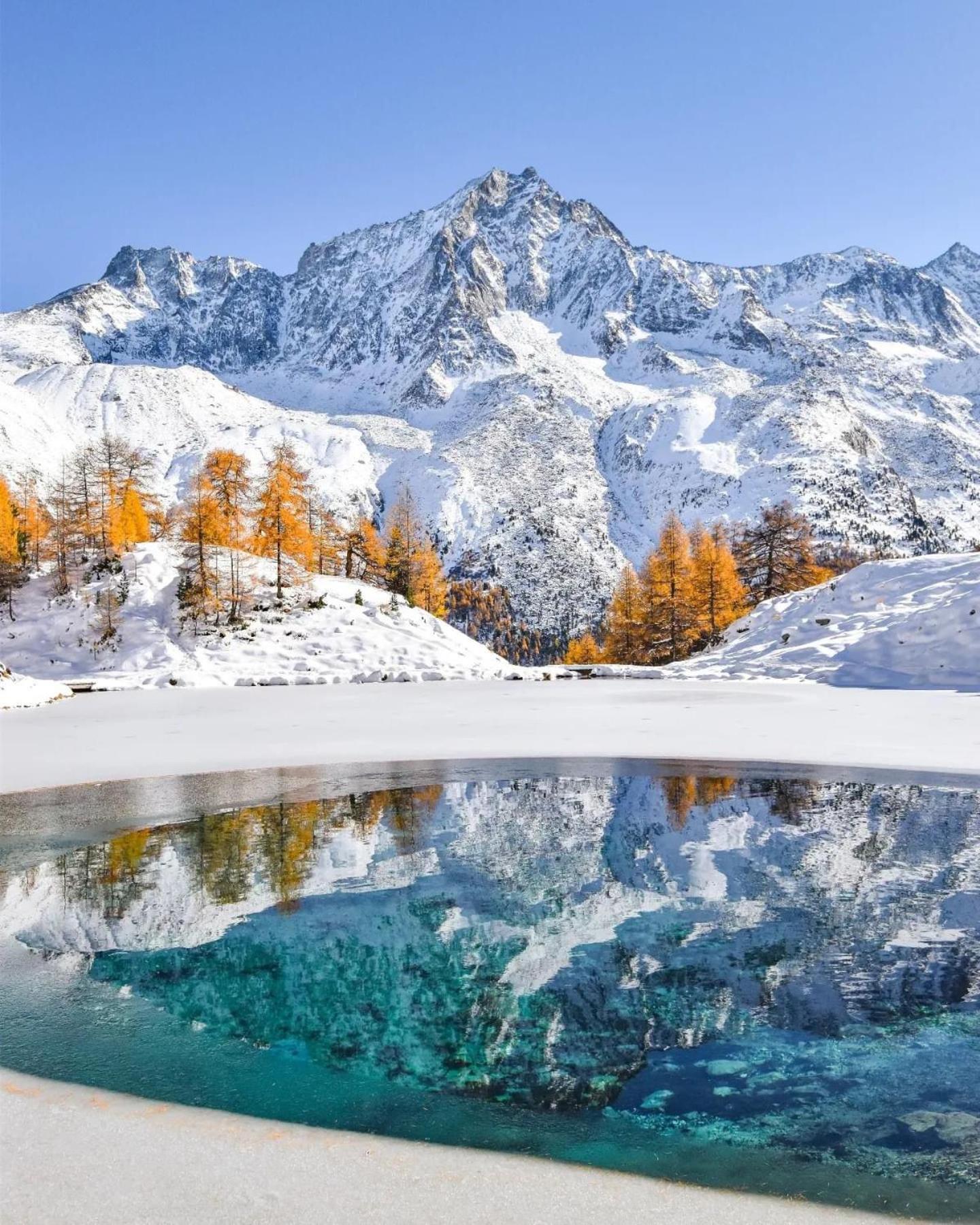 Le Panorama - Appartement 54 A Arolla Face Aux Montagnes A 150M Des Pistes Evolène Eksteriør bilde
