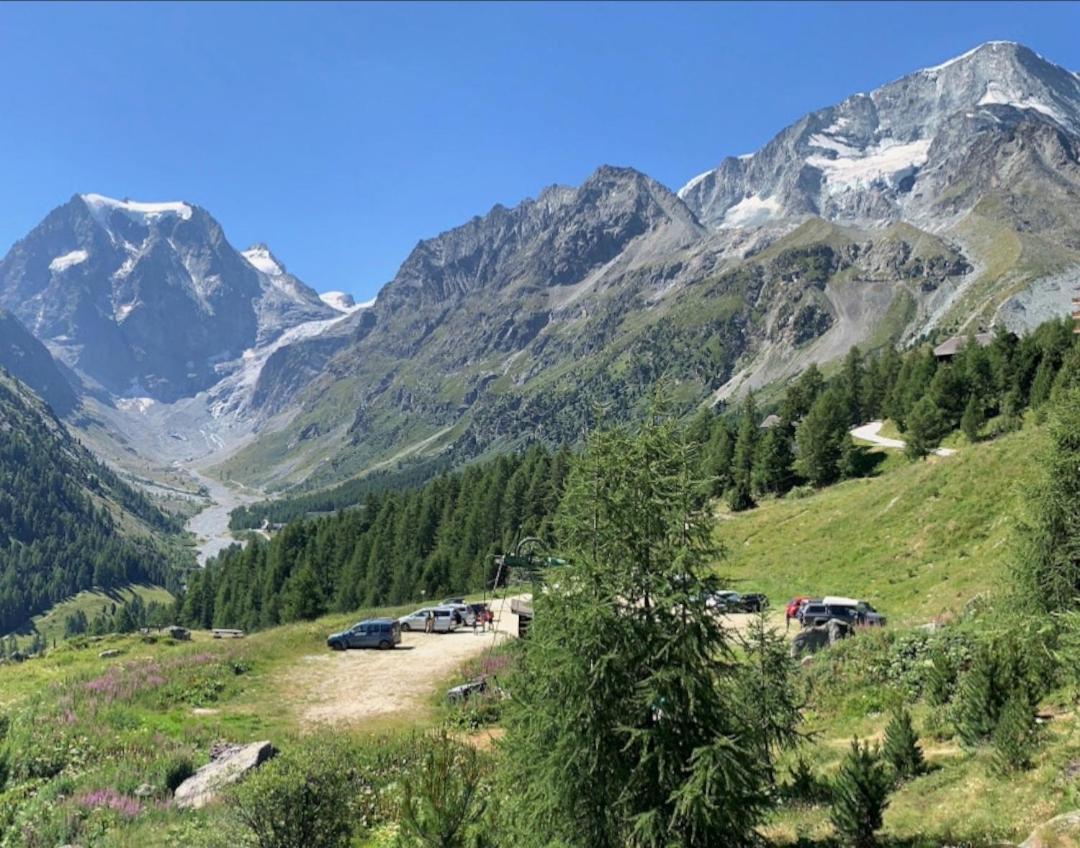 Le Panorama - Appartement 54 A Arolla Face Aux Montagnes A 150M Des Pistes Evolène Eksteriør bilde
